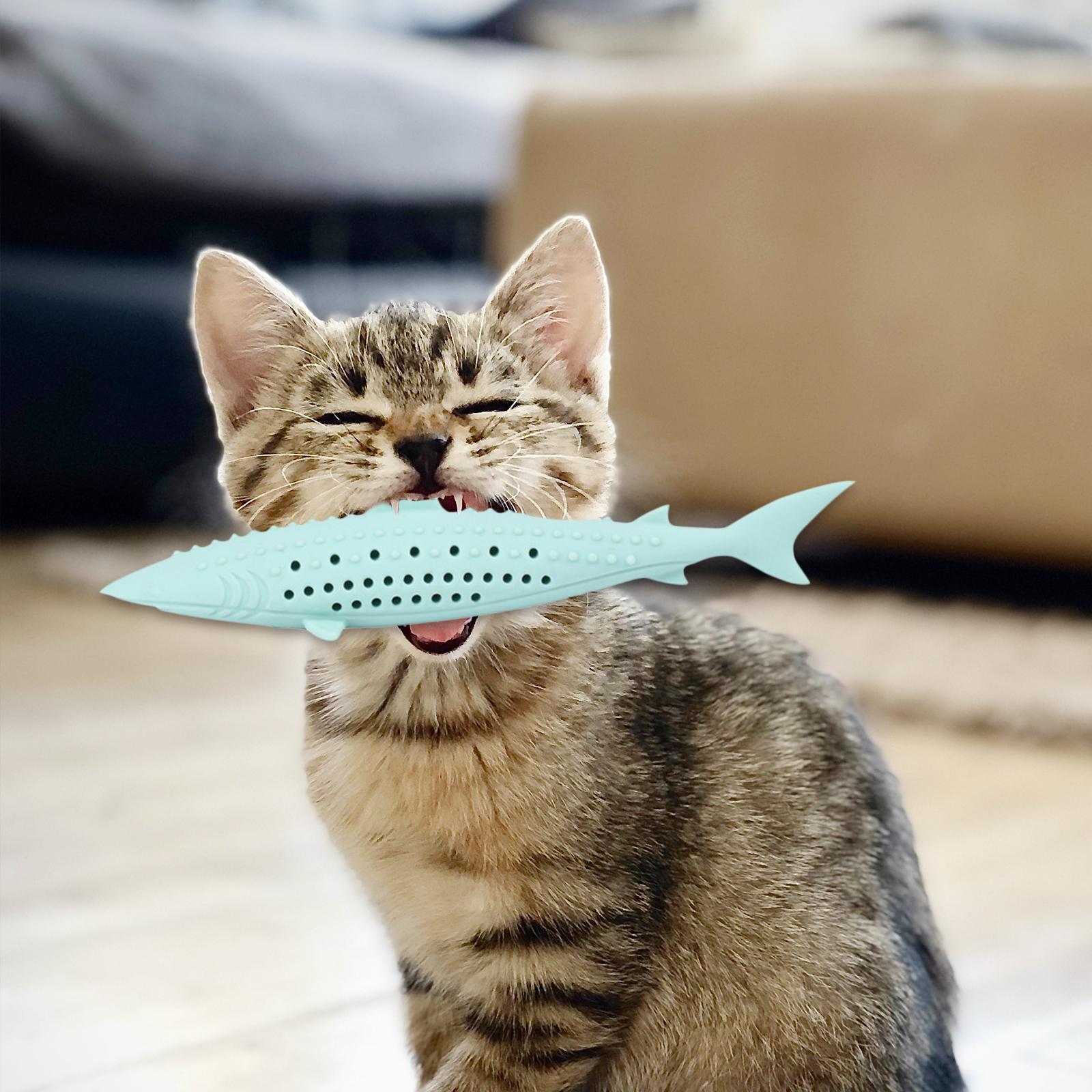 Negozio Biopetstore economico 44 Negozio Biopetstore economico -Negozio Biopetstore economico 64043692 7 image