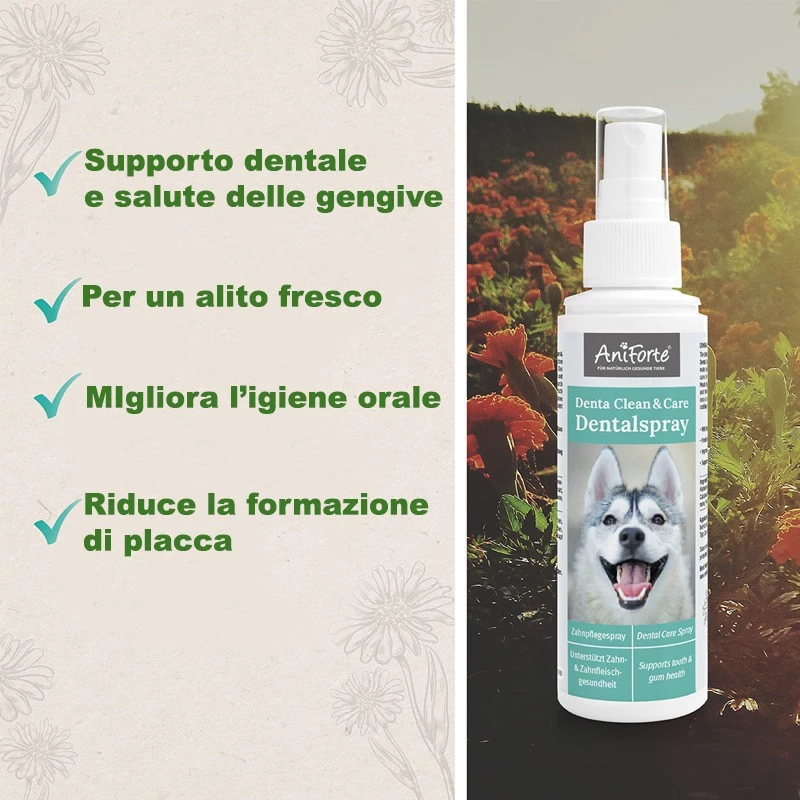 ANIFORTE - DENTAL CLEAN & CARE SPRAY 4 ANIFORTE - DENTAL CLEAN & CARE SPRAY - immagine 2
