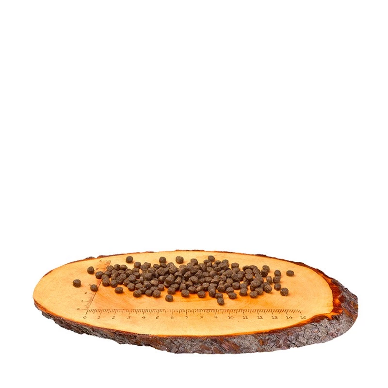 CARNILOVE GATTINI - SALMONE E TACCHINO 5 CARNILOVE GATTINI - SALMONE E TACCHINO - immagine 3