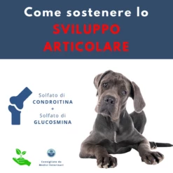 DOLFOS - ARTHROFOS 6 DOLFOS - ARTHROFOS -Negozio Biopetstore economico DOLFOS ARTHROFOS 1