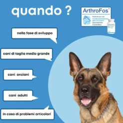 DOLFOS - ARTHROFOS 7 DOLFOS - ARTHROFOS -Negozio Biopetstore economico DOLFOS ARTHROFOS 2