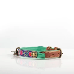 DWAM - COLLARE BLUEBELL -Negozio Biopetstore economico DWAM COLLARE BLUEBELL 1