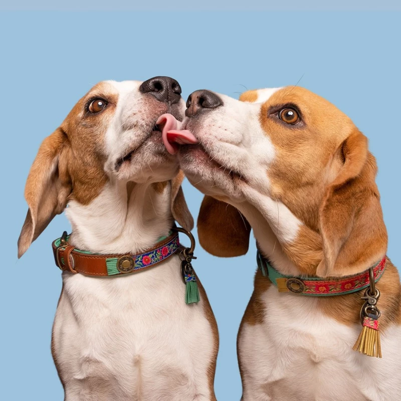 DWAM - COLLARE POPPY 5 DWAM - COLLARE POPPY - immagine 3