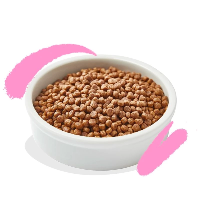 EDGARD & COOPER - GATTO KITTEN - ANATRA E POLLO CON MIRTILLI, ROSE E CINORRODO 4 EDGARD & COOPER - GATTO KITTEN - ANATRA E POLLO CON MIRTILLI, ROSE E CINORRODO - immagine 2