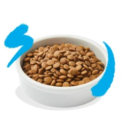 EDGARD & COOPER - GATTO - SALMONE FRESCO DELL'ATLANTICO CON MIRTILLI ROSSI, BASILICO E ANETO