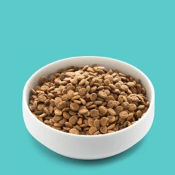 EDGARD & COOPER - SALMONE FRESCO NORVEGESE -Negozio Biopetstore economico EDGARD COOPER SALMONE FRESCO NORVEGESE 4