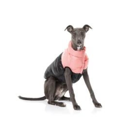 FUZZYARD - EAST HARLEM JACKET - ROSA 11 FUZZYARD - EAST HARLEM JACKET - ROSA -Negozio Biopetstore economico FUZZYARD EAST HARLEM JACKET ROSA 3