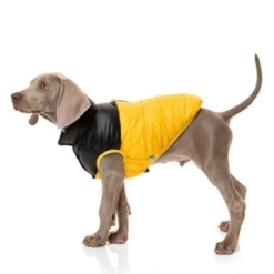 FUZZYARD -PIUMINO HARLEM GIALLO 5 FUZZYARD -PIUMINO HARLEM GIALLO -Negozio Biopetstore economico FUZZYARD PIUMINO HARLEM GIALLO 1