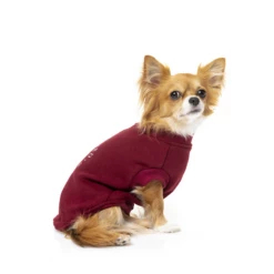 FUZZYARD - THE FY - FELPA MARRONE 9 FUZZYARD - THE FY - FELPA MARRONE -Negozio Biopetstore economico FUZZYARD THE FY FELPA MARRONE 2