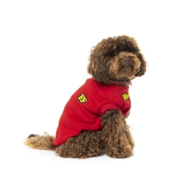 FUZZYARD - THE WOOF - FELPA ROSSO 13 FUZZYARD - THE WOOF - FELPA ROSSO -Negozio Biopetstore economico FUZZYARD THE WOOF FELPA ROSSO 5