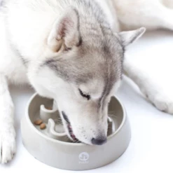 INOOKO - CIOTOLA ANTI INGOZZAMENTO GRIGIO -Negozio Biopetstore economico INOOKO CIOTOLA ANTI INGOZZAMENTO GRIGIO 1