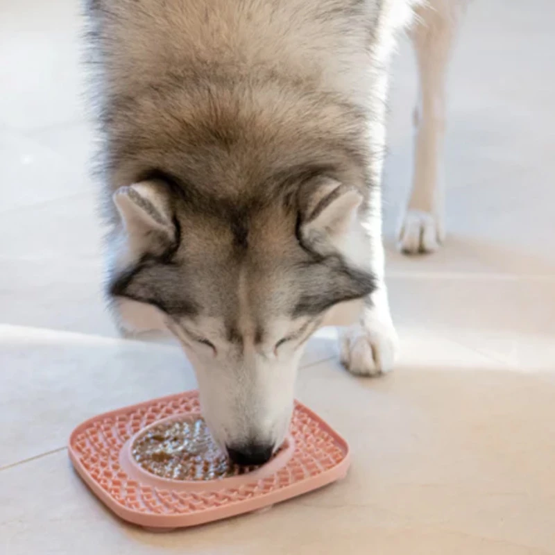 INOOKO - TAPPETINO YOMMY PLATE ROSA 5 INOOKO - TAPPETINO YOMMY PLATE ROSA - immagine 3