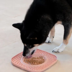 INOOKO - TAPPETINO YOMMY PLATE VERDE -Negozio Biopetstore economico INOOKO TAPPETINO YOMMY PLATE VERDE 2