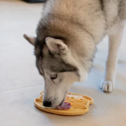 INOOKO - TAPPETINO YOOMY BURGER -Negozio Biopetstore economico INOOKO TAPPETINO YOOMY BURGER 2