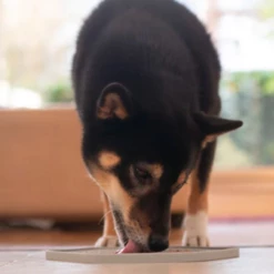 INOOKO - TAPPETINO YOOMY ESAGONO ROSA -Negozio Biopetstore economico INOOKO TAPPETINO YOOMY ESAGONO ROSA 1