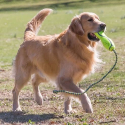 KONG - AIR DOG - CON CORDA -Negozio Biopetstore economico KONG AIR DOG CON CORDA 1