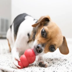 KONG - KONG CLASSIC -Negozio Biopetstore economico KONG KONG CLASSIC 1