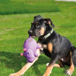 KONG - PHATZ HIPPO -Negozio Biopetstore economico KONG PHATZ HIPPO 1