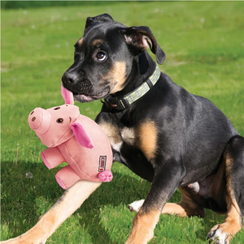 KONG - PHATZ PIG 4 KONG - PHATZ PIG - immagine 2