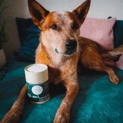 MYCANI - CHILL MAL - RELAX - MISCELA DI ERBE E FUNGHI MEDICALI -Negozio Biopetstore economico MYCANI CHILL MAL RELAX MISCELA DI ERBE E FUNGHI MEDICALI 2