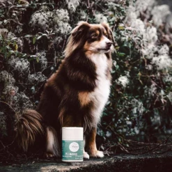 MYCANI - MIMOSE - SUPPORTO SISTEMA IMMUNITARIO - MISCELA DI ERBE E FUNGHI MEDICALI -Negozio Biopetstore economico MYCANI MIMOSE SUPPORTO SISTEMA IMMUNITARIO MISCELA DI ERBE E FUNGHI MEDICALI 2