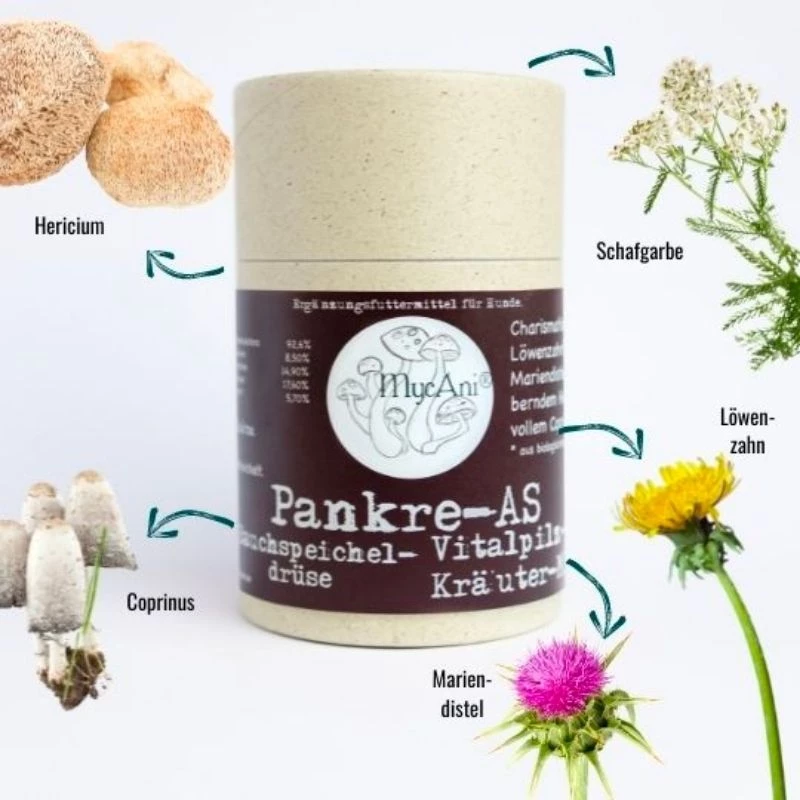 MYCANI - PANKREAS - SUPPORTO PER IL PANCREAS - MISCELA DI ERBE E FUNGHI MEDICALI 4 MYCANI - PANKREAS - SUPPORTO PER IL PANCREAS - MISCELA DI ERBE E FUNGHI MEDICALI - immagine 2