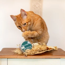 MYCANI - UNGUENTO A BASE DI FUNGO REISHI E PROPOLI -Negozio Biopetstore economico MYCANI UNGUENTO A BASE DI FUNGO REISHI E PROPOLI 2