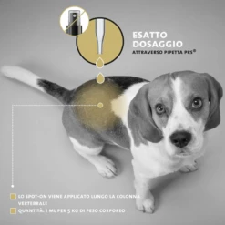 PETICARE - PROTECT 2161 - ANTIZECCHE E ANTIACARI SPOT-ON -Negozio Biopetstore economico PETICARE PROTECT 2161 ANTIZECCHE E ANTIACARI SPOT ON 5