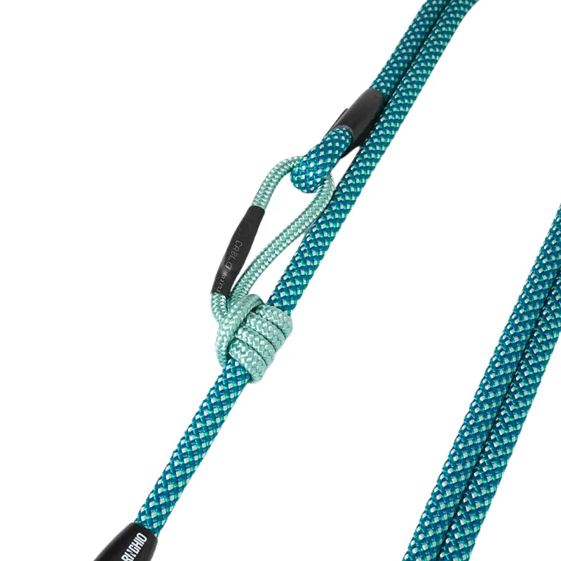 RINGHIO - GUINZAGLIO STINTINO MOSCHETTONE CLASSICO 180CM 4 RINGHIO - GUINZAGLIO STINTINO MOSCHETTONE CLASSICO 180CM - immagine 2