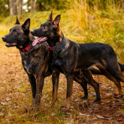 RUKKA - COLLARE CUBE SOFT -Negozio Biopetstore economico RUKKA COLLARE CUBE SOFT 3