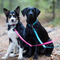 RUKKA - GUINZAGLIO ARUBA -Negozio Biopetstore economico RUKKA GUINZAGLIO ARUBA 1