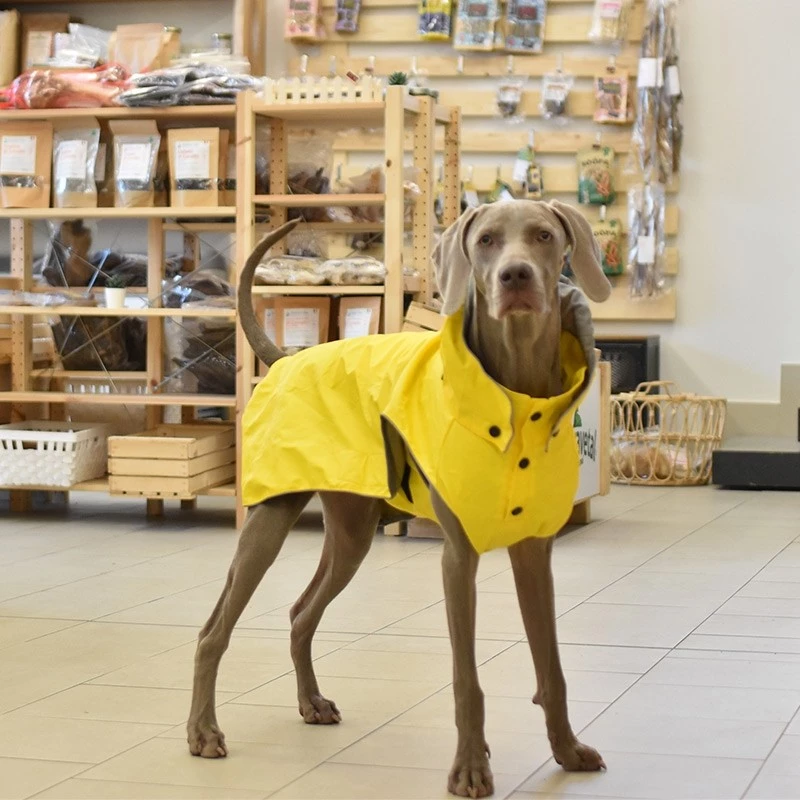 RUKKA - IMPERMEABILE STREAM GIALLO 5 RUKKA - IMPERMEABILE STREAM GIALLO - immagine 3