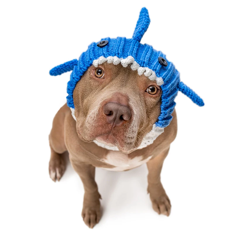 SCALDACOLLO E COPRI ORECCHIE FATTO A MANO - SQUALO 6 SCALDACOLLO E COPRI ORECCHIE FATTO A MANO - SQUALO - immagine 4