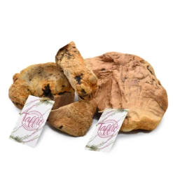 TAFFIO PET FOOD - RADICE DI ERICA -Negozio Biopetstore economico TAFFIO PET FOOD RADICE DI ERICA 2