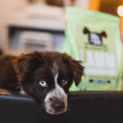 TALES & TAILS - PUPPY - SEMIUMIDO ALL'AGNELLO -Negozio Biopetstore economico TALES TAILS PUPPY SEMIUMIDO ALLAGNELLO 2