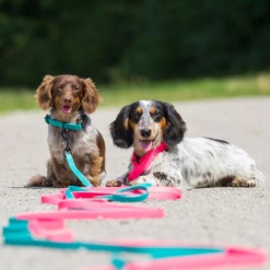 TREUSINN - LUNGHINA IN BIOTHANE 5M -Negozio Biopetstore economico TREUSINN LUNGHINA IN BIOTHANE 5M 8