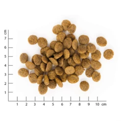 VEGDOG - FARMER'S CRUNCH - CROCCANTINI VEGANI -Negozio Biopetstore economico VEGDOG FARMERS CRUNCH CROCCANTINI VEGANI 1