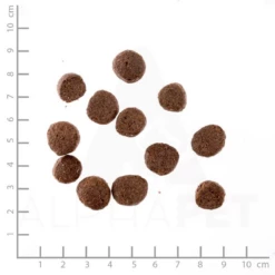 WILDES LAND - CLASSIC ADULT - ANATRA CON PATATA ED ERBE SELVATICHE 9 WILDES LAND - CLASSIC ADULT - ANATRA CON PATATA ED ERBE SELVATICHE -Negozio Biopetstore economico WILDES LAND CLASSIC ADULT ANATRA CON PATATA ED ERBE SELVATICHE 3