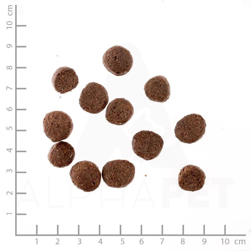 WILDES LAND - CLASSIC ADULT - ANATRA CON PATATA ED ERBE SELVATICHE 6 WILDES LAND - CLASSIC ADULT - ANATRA CON PATATA ED ERBE SELVATICHE - immagine 4