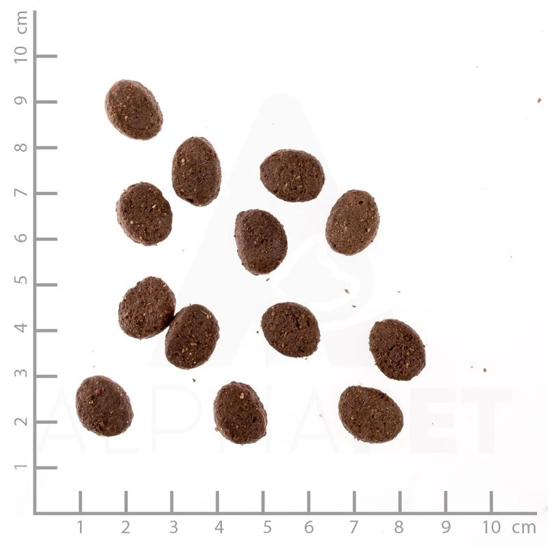 WILDES LAND - CLASSIC ADULT - CONIGLIO CON PATATE ED ERBE SELVATICHE 6 WILDES LAND - CLASSIC ADULT - CONIGLIO CON PATATE ED ERBE SELVATICHE - immagine 4