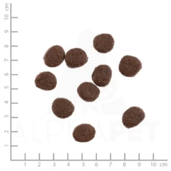 WILDES LAND - CLASSIC ADULT - TROTA E SALMONE CON PATATE E ERBE SELVATICHE 9 WILDES LAND - CLASSIC ADULT - TROTA E SALMONE CON PATATE E ERBE SELVATICHE -Negozio Biopetstore economico WILDES LAND CLASSIC ADULT TROTA E SALMONE CON PATATE E ERBE SELVATICHE 3