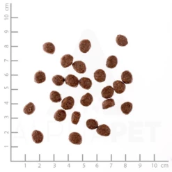 WILDES LAND - CLASSIC PUPPY - ANATRA E POLLO CON PATATE ED ERBE SELVATICHE -Negozio Biopetstore economico WILDES LAND CLASSIC PUPPY ANATRA E POLLO CON PATATE ED ERBE SELVATICHE 3