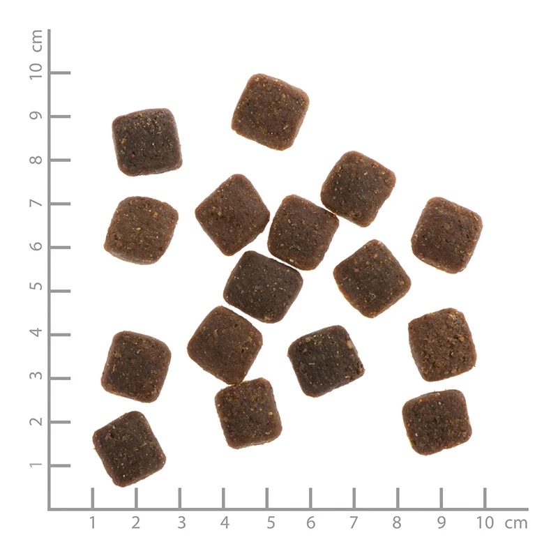 WILDES LAND - CROCCANTINI SEMI UMIDI - ANATRA E RISO 4 WILDES LAND - CROCCANTINI SEMI UMIDI - ANATRA E RISO - immagine 2