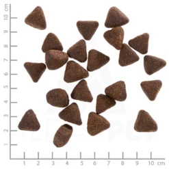 WOLFSBLUT - ATLANTIC TUNA - TONNO E PATATE DOLCI -Negozio Biopetstore economico WOLFSBLUT ATLANTIC TUNA TONNO E PATATE DOLCI 1