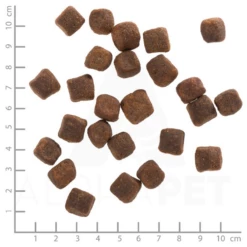 WOLFSBLUT - DARK FOREST - CERVO E PATATE DOLCI -Negozio Biopetstore economico WOLFSBLUT DARK FOREST CERVO E PATATE DOLCI 1