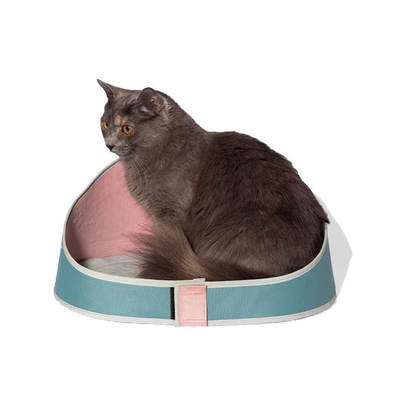 ZEE CAT - BAD KOMBUCHA 6 ZEE CAT - BAD KOMBUCHA - immagine 4