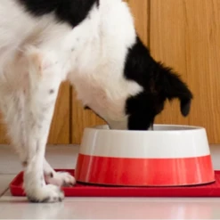 ZEE DOG - CIOTOLA BICOLOR 12 ZEE DOG - CIOTOLA BICOLOR -Negozio Biopetstore economico ZEE DOG CIOTOLA BICOLOR 4