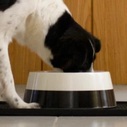 ZEE DOG - CIOTOLA BICOLOR 13 ZEE DOG - CIOTOLA BICOLOR -Negozio Biopetstore economico ZEE DOG CIOTOLA BICOLOR 5