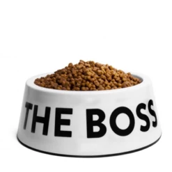 ZEE DOG - CIOTOLA I'M THE BOSS BIANCA -Negozio Biopetstore economico ZEE DOG CIOTOLA IM THE BOSS BIANCA 1