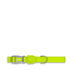 ZEE DOG - COLLARE IN NEOPRENE LIME -Negozio Biopetstore economico ZEE DOG COLLARE IN NEOPRENE LIME 1